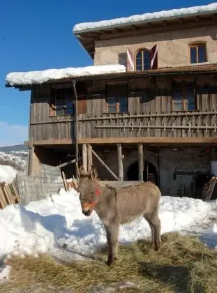 Azienda Agricola Castel Vasio - Dış Mekan