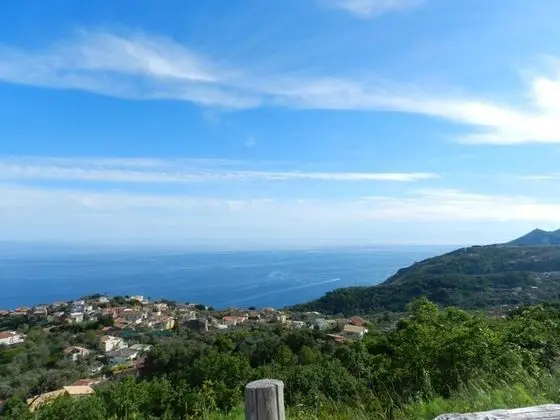 Azienda Agricola Fattoria Terranov