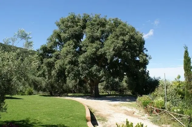 Azienda Agricola Il Bagolaro - Dış Mekan