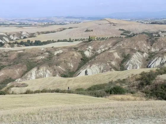 Azienda Agricola Podernuovo - Genel
