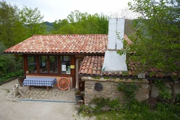Azienda Agrituristica La Canestra - 1