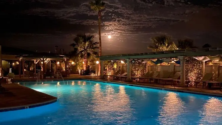 Azure Palm Hot Springs - Havuz