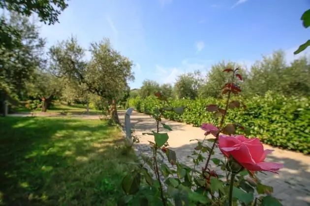 B&B Arli - Dış Mekan