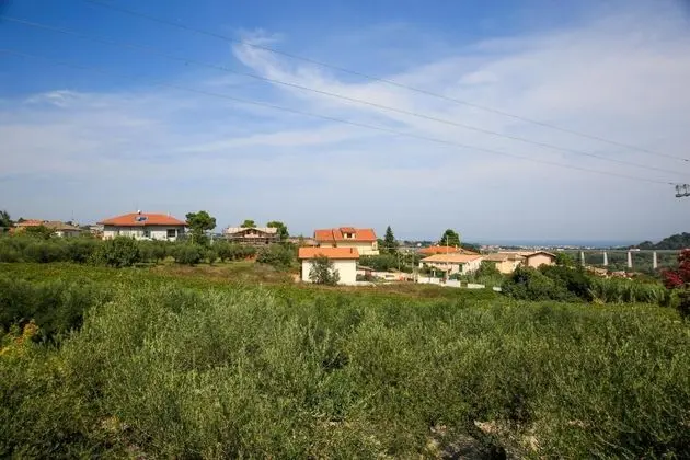 B&B Arli - Genel