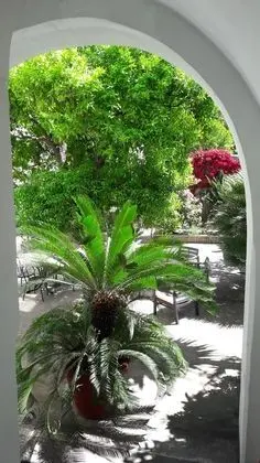 B&B Back to Sorrento - Dış Mekan