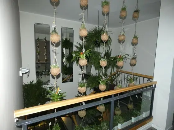 B&B Belvedere Suite - İç Mekan