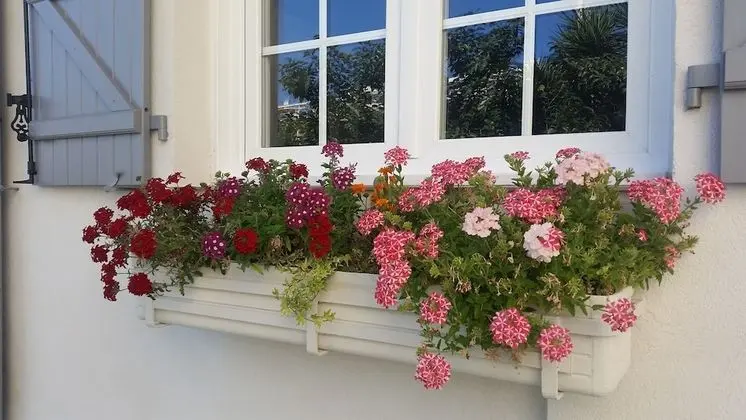 B&B Villa Blanche - Dış Mekan