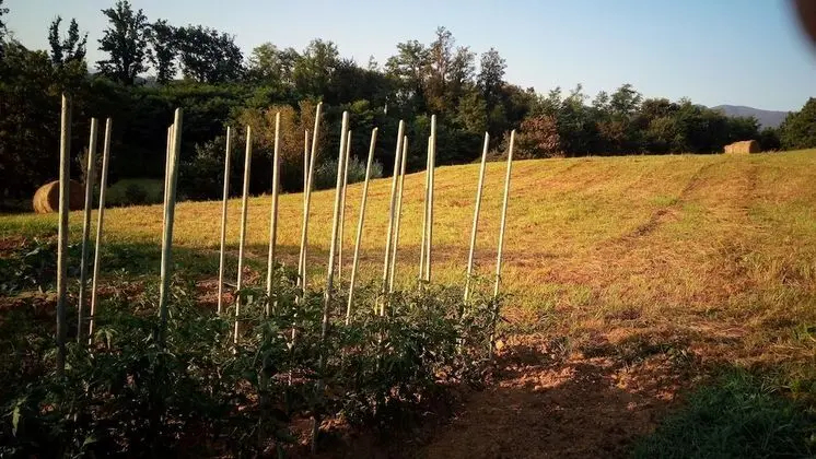 B&B Cadrecca Tra Terra Luna e Mare - Dış Mekan