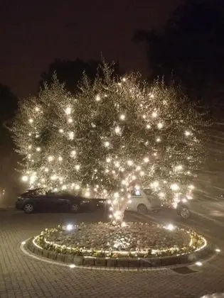B&B Casa dei Camini - Dış Mekan