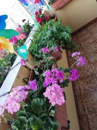 B&B Casa Mia - Dış Mekan