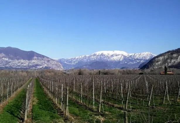 B&B Cascina San Martino - Dış Mekan