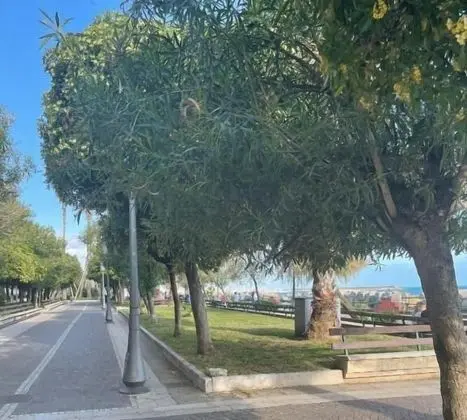 B&B In Centro 33
