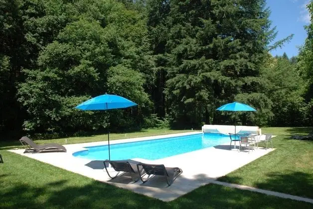 B&B Chateau Le Bois - Havuz