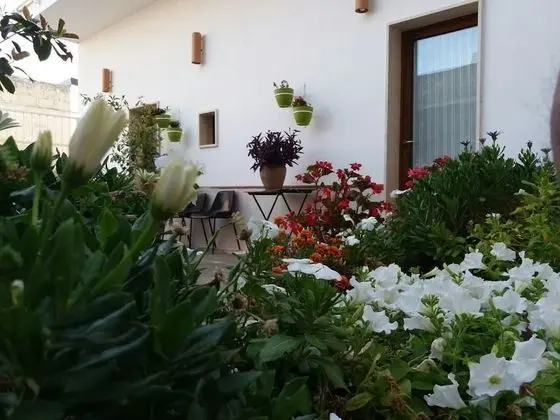 B&B Colle Carro - 1