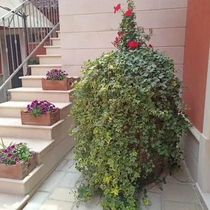 B&B Corte dei Figuli - Dış Mekan