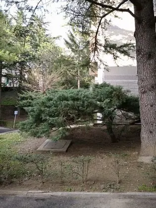 B&B da Thais un piacevole relax - Öne Çıkan Resim
