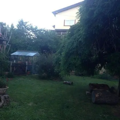 B&B Falcone