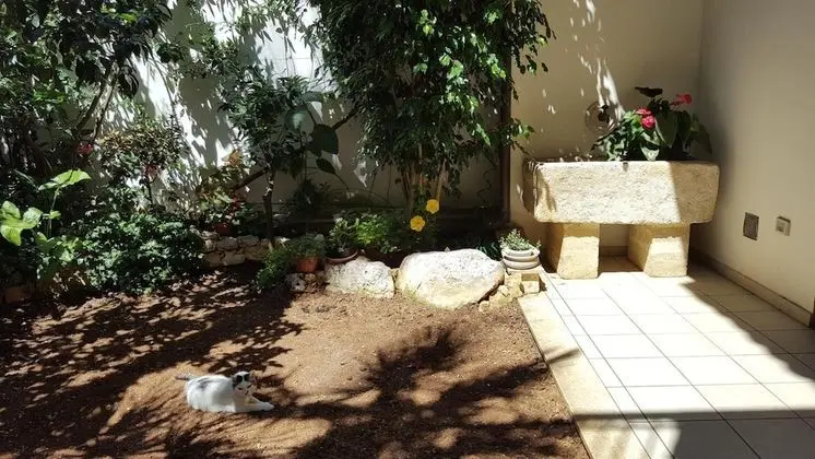 B&B Federico II - Dış Mekan