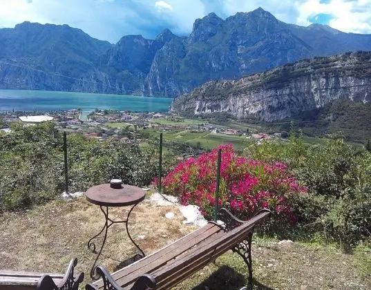 B&B Garden Belvedere