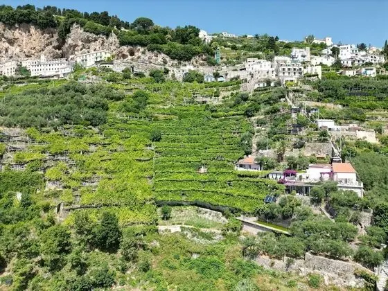 B&B I Limoni - Dış Mekan