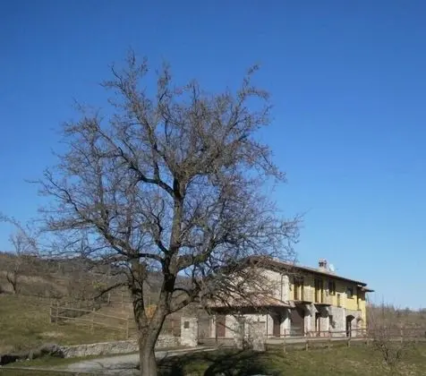 B&B Il Pero Selvatico