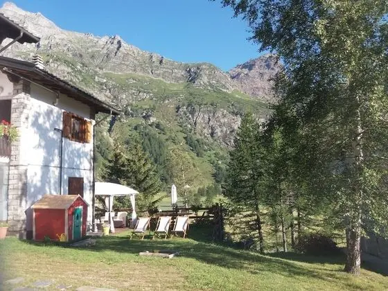 B&B Il Pino - 1