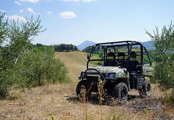 B&B Il Sarale