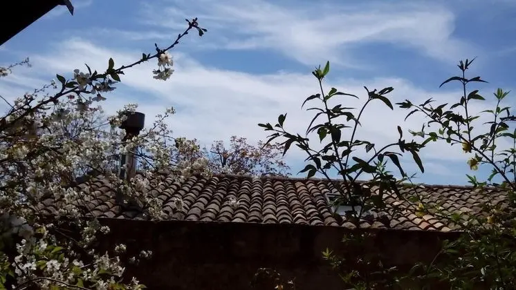 B&B Il Vaso di Creta