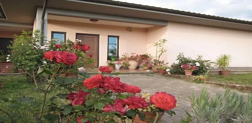 B&B Il Vigneto Tuscania