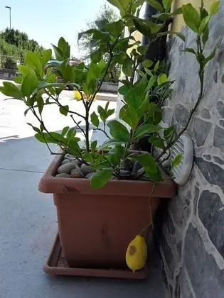 B&B Iris Cottage - Dış Mekan