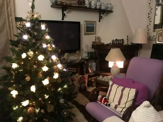 B&B La Gatta E Il Glicine - İç Mekan