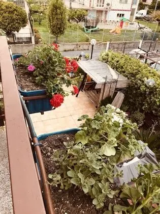 B&B La Gatta E Il Glicine - Oda Manzaraları