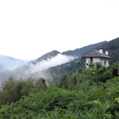 B&B La Locanda del Cinghiale