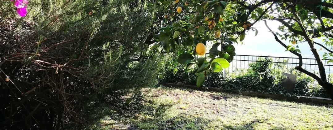 B&B La Terrazza Sui Fieschi - Dış Mekan