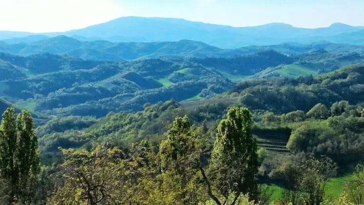 B&B Le Dolci Colline Del Montefeltro - Genel