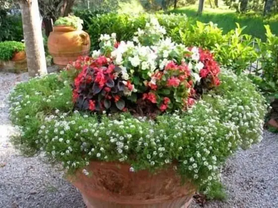 B&B Le Logge Di Sopra - Dış Mekan