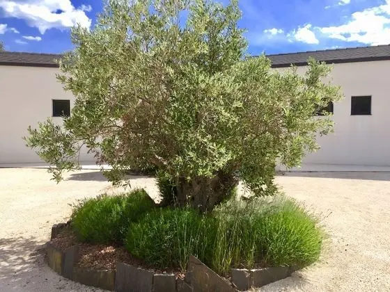 B&B L'Escale Cote Bleue - Dış Mekan