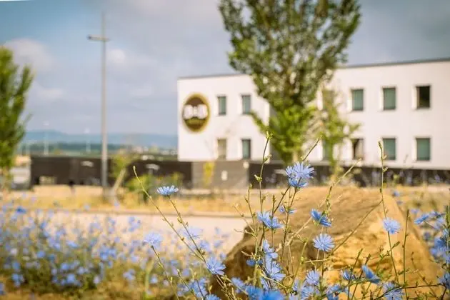 B&B Hotel Metz Est Technopole Pôle Santé
