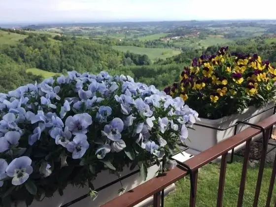 B&B Monferrato La Casa Sui Tetti - Dış Mekan