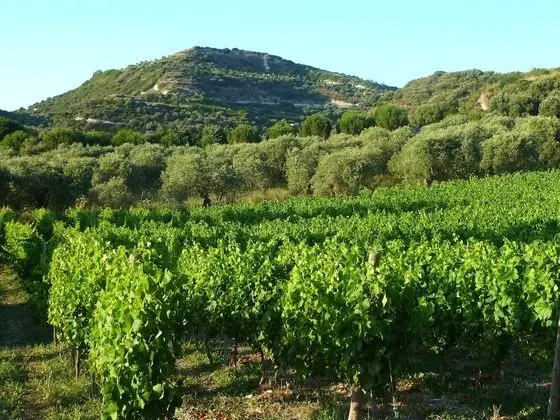B&B Pessighette Dimora di Campagna - Dış Mekan