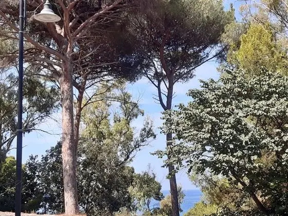 B&B Posidonia - Oda Manzaraları