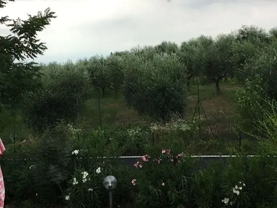 B&B Villa Roncatti - Dış Mekan