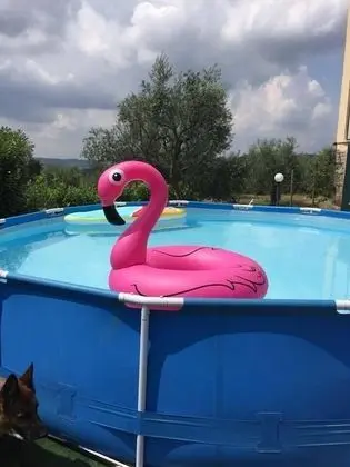 B&B sei cipressi - Havuz
