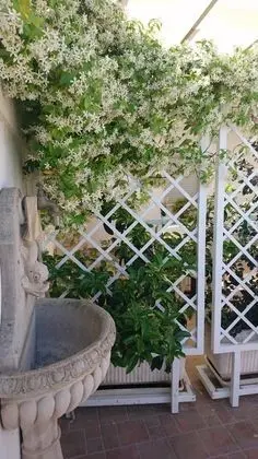 B&B Stella dei Campi - Dış Mekan