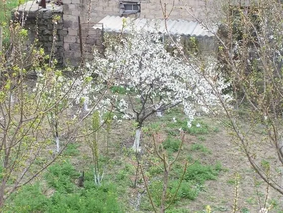 B&B Sunrise House Aygavan Armenia - Öne Çıkan Resim
