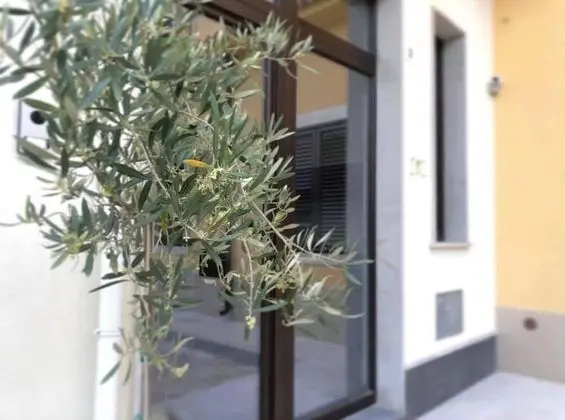 B&B Terra di Sicilia Luxury Rooms