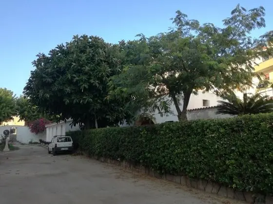 B&B Zia Amalia Villa Asfodelo - Dış Mekan