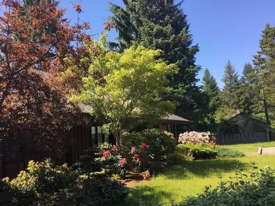 B - Sechelt Private Coastal Home - Dış Mekan
