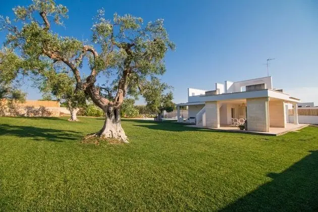 Ba-f376-ccoz0at - Villa Patrizia