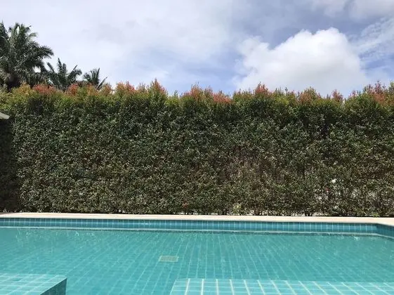 Villa Baan Anna Pool and Spa - Havuz